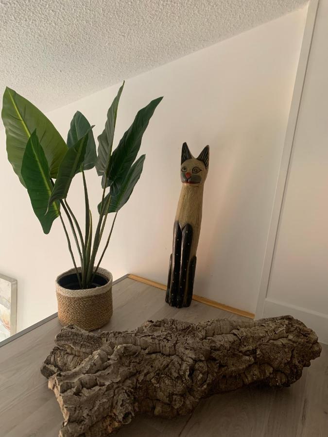 ツーロンDuplex Raphael- Wi-Fi Et Parking Priveアパートメント エクステリア 写真